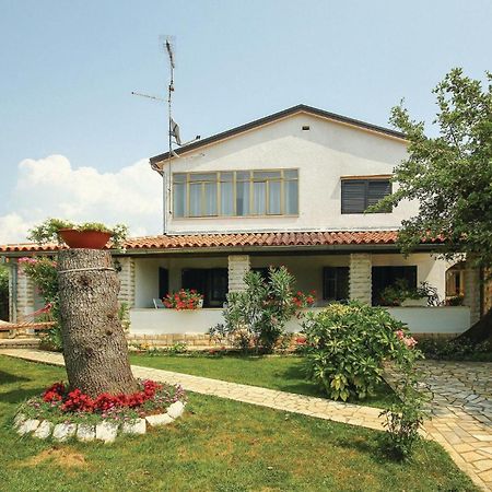Beautiful Apartment In Porec With Wifi Kültér fotó